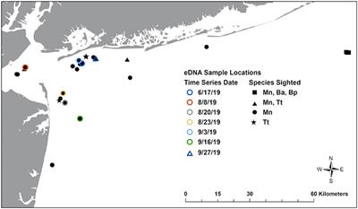 Using Environmental DNA to Detect Whales and Dolphins in the New York Bight